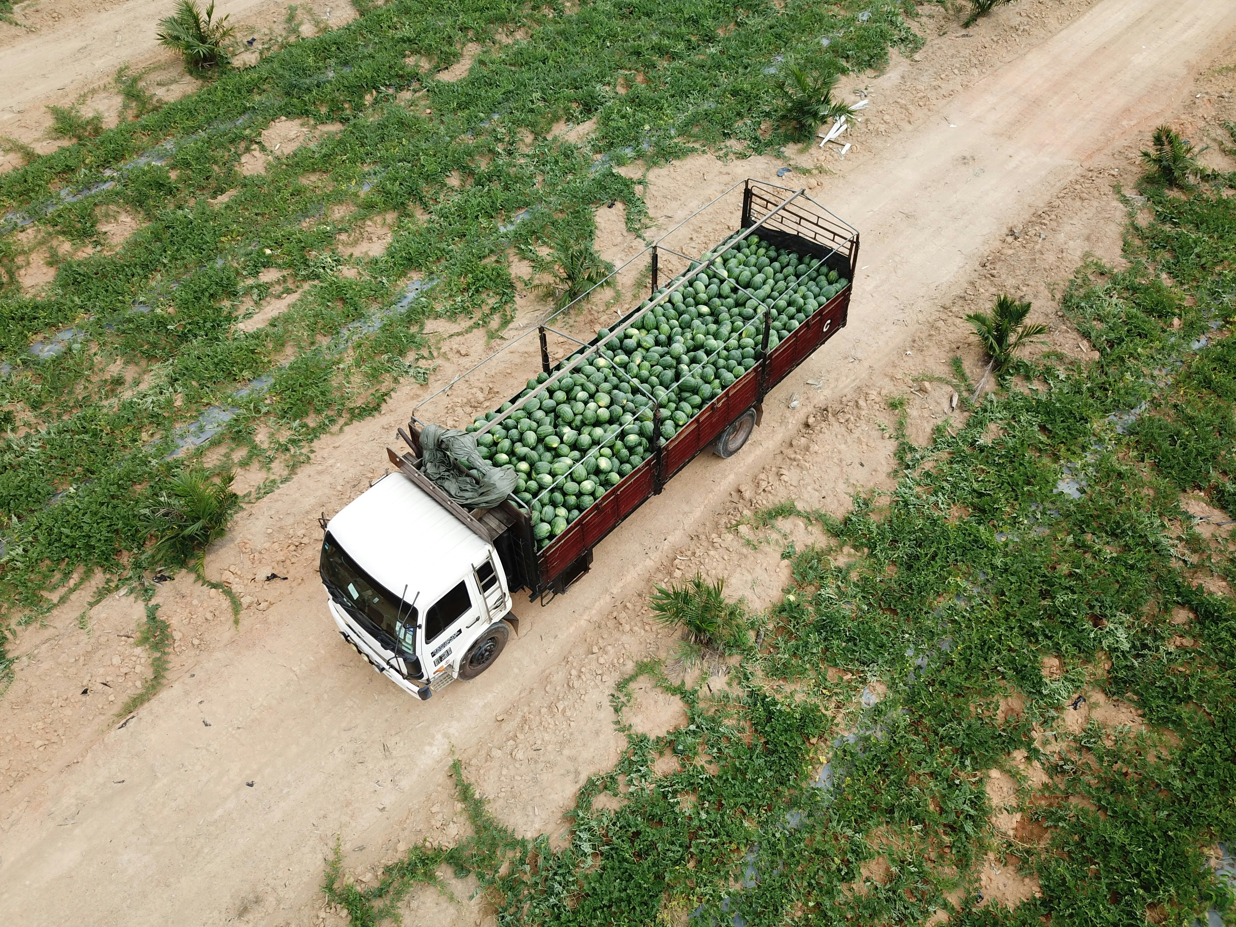Agricultural Trade
